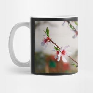 Almond Blossom Mug